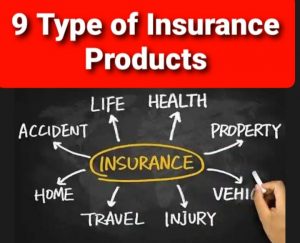 9 Types of Insurance Products That You Must Know